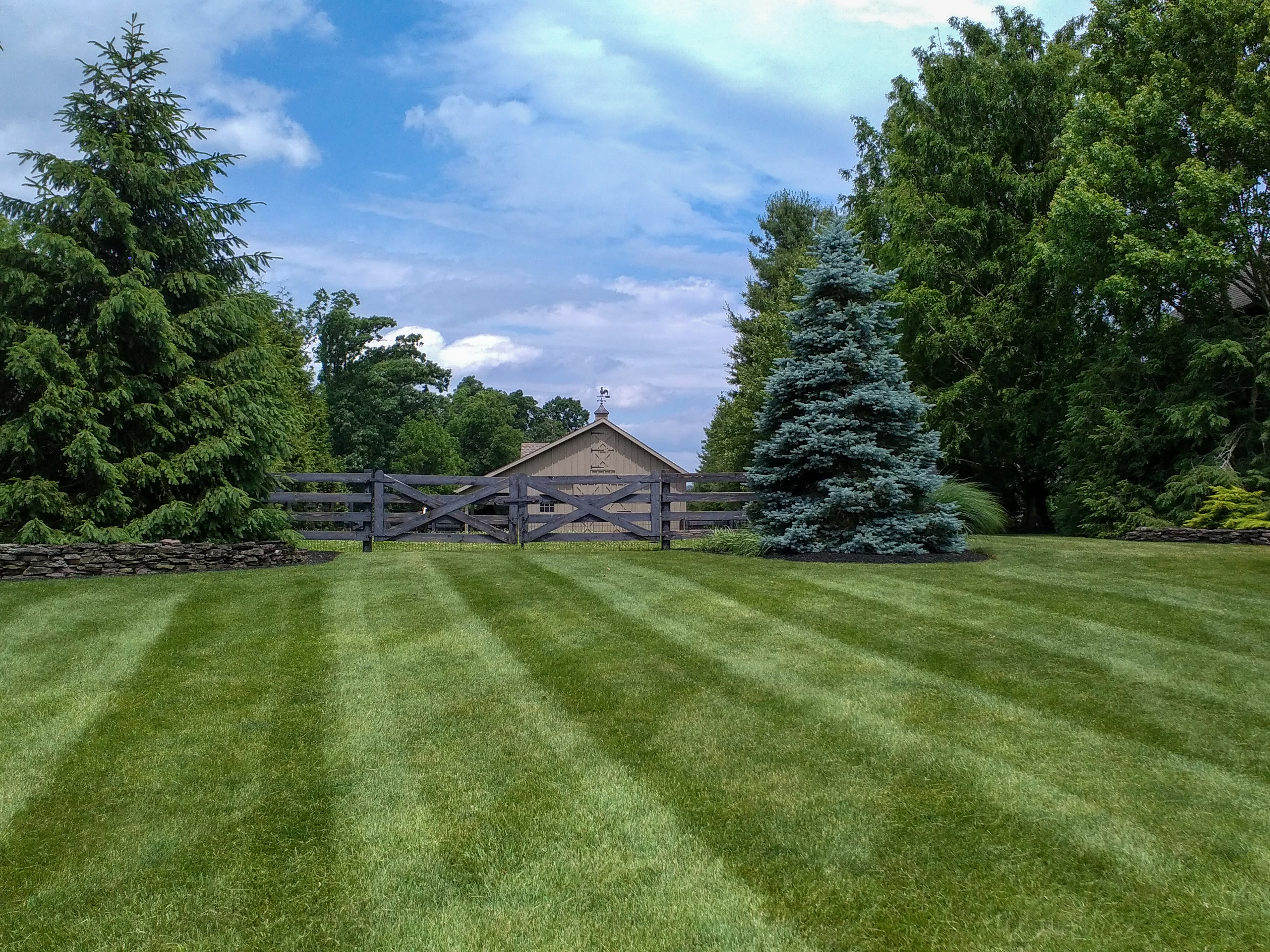 Lawn Care